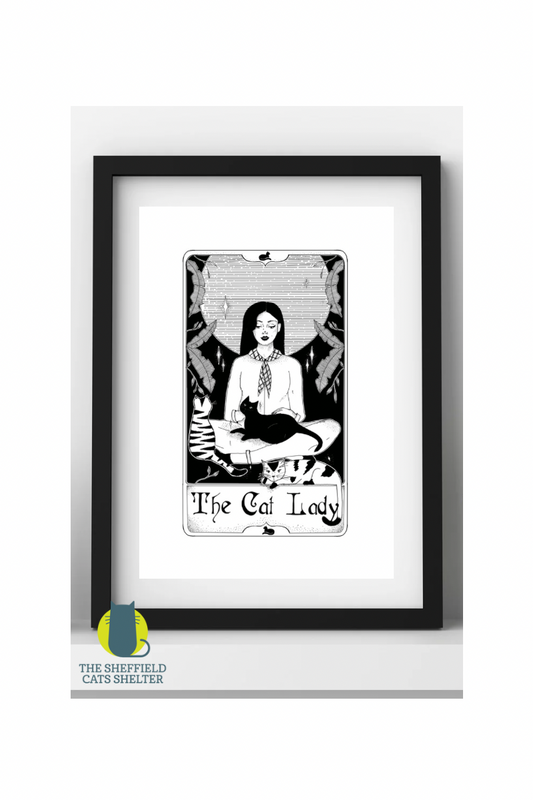 'The Cat Lady'